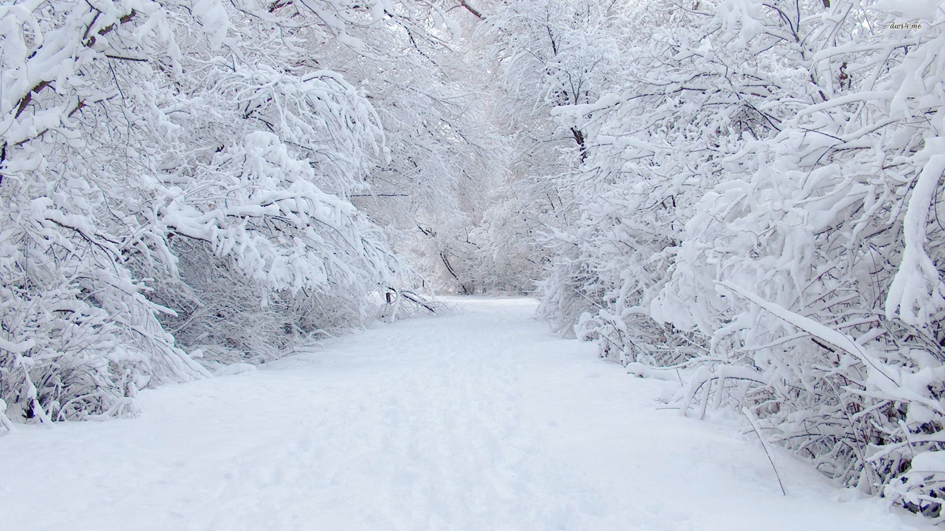 6358899960068147322127282582_635861833670816810507191518_6670-perfect-snow-1920x1080-nature-wallpaper