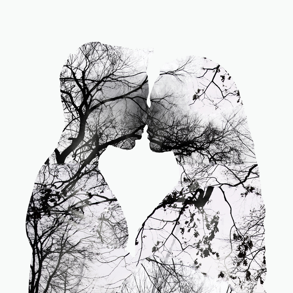 11848926384_b349c500a0_b