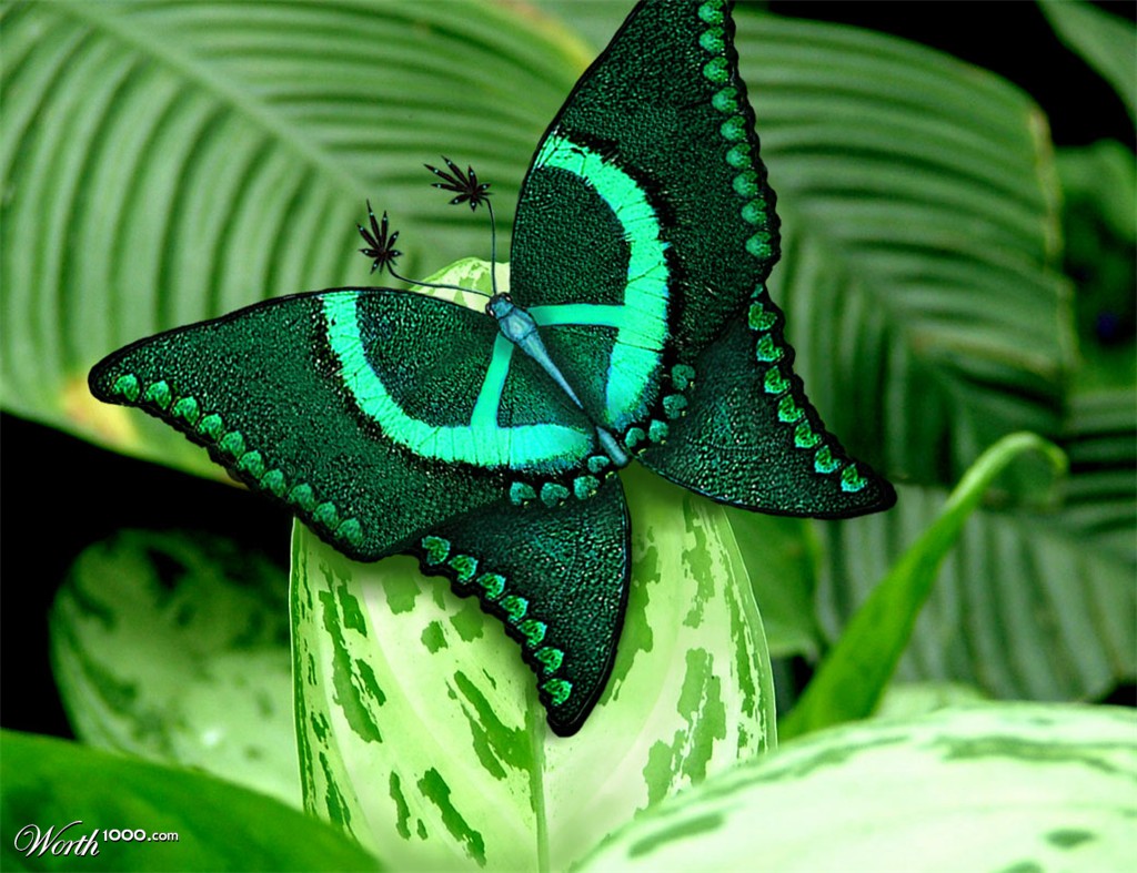 02a5048bb879f99e69e4cbbfd55b128d