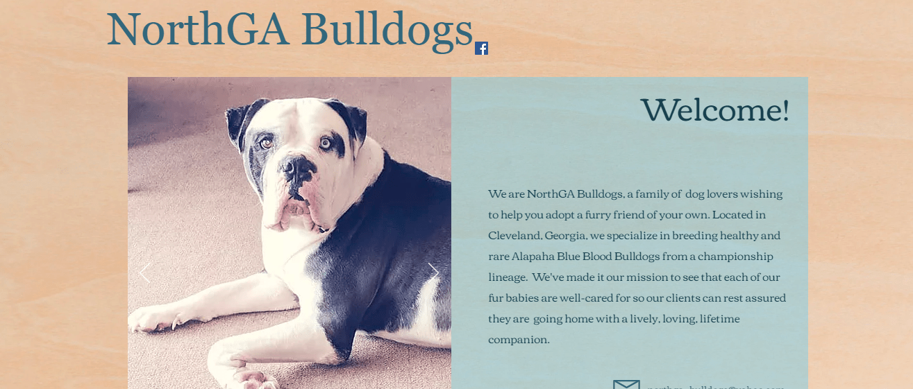 NorthGaBulldogs Home screenshot.png