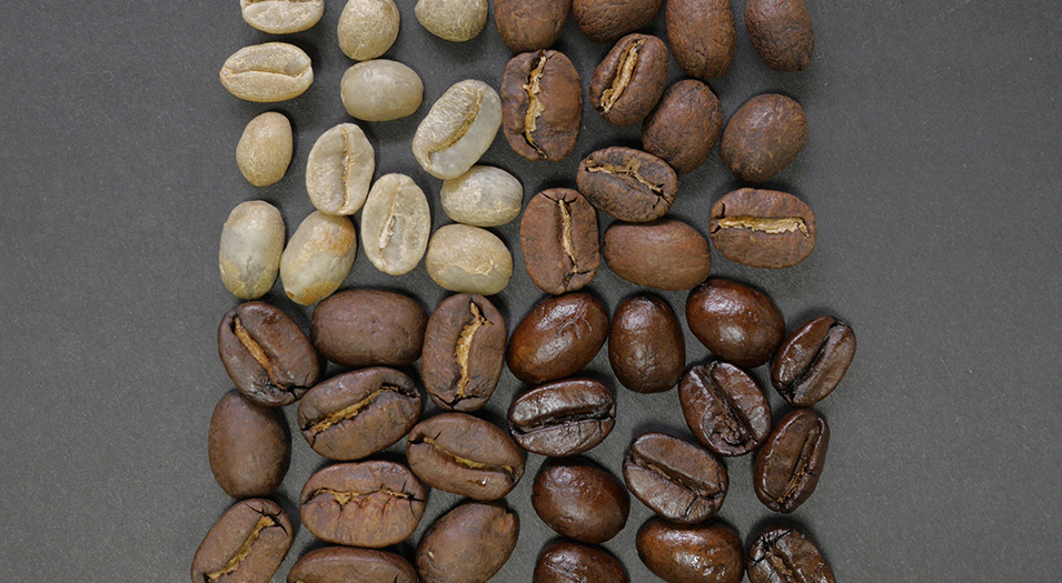 coffee-processing-1.jpg