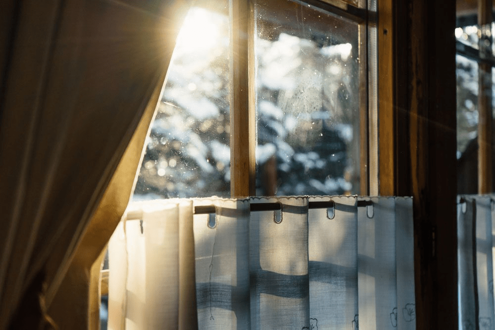 Sunlight filtering through window with snow on evergreen branches outside.